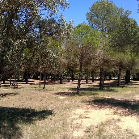 Gptents- Aragon